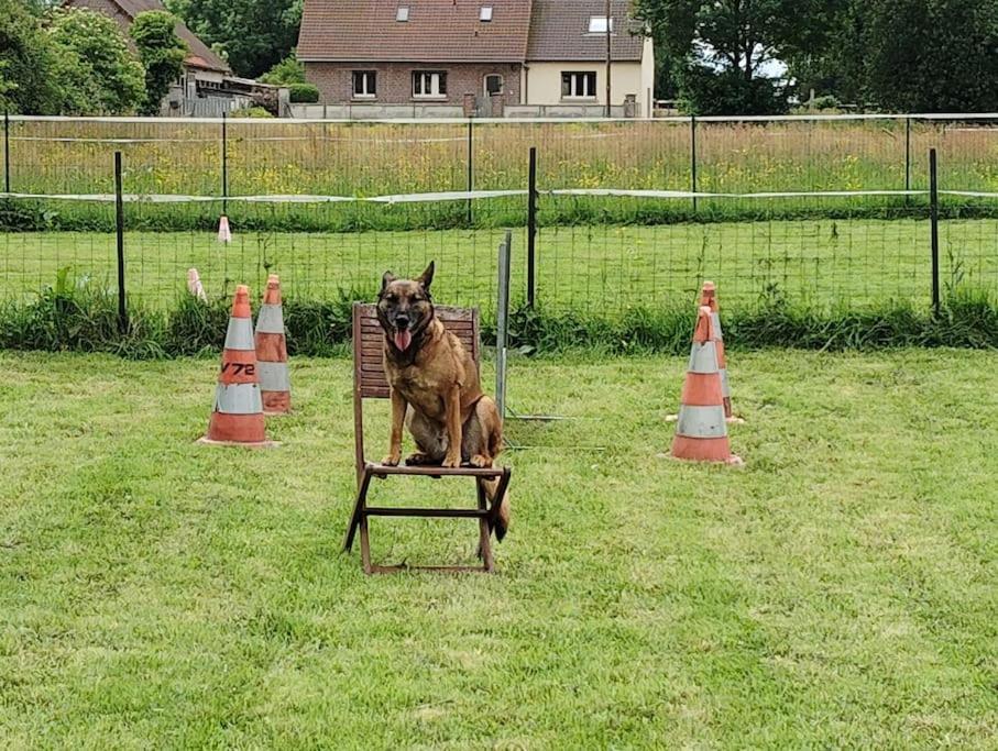 Gite Au Ptit Canin Moyenneville  Exteriér fotografie